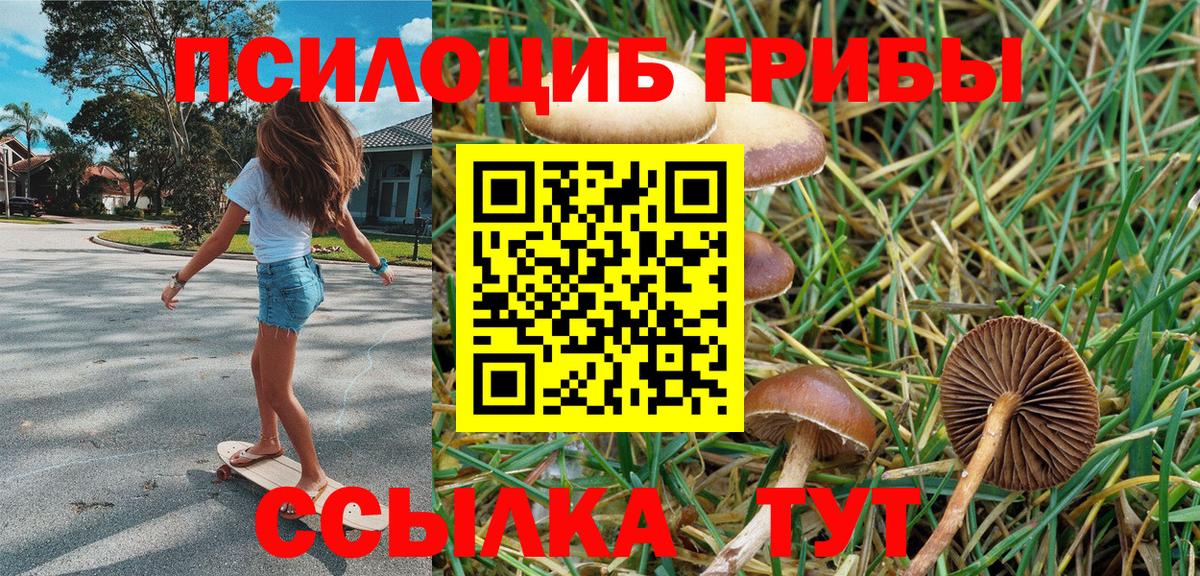 Псилоцибиновые грибы MAGIC MUSHROOMS Мытищи
