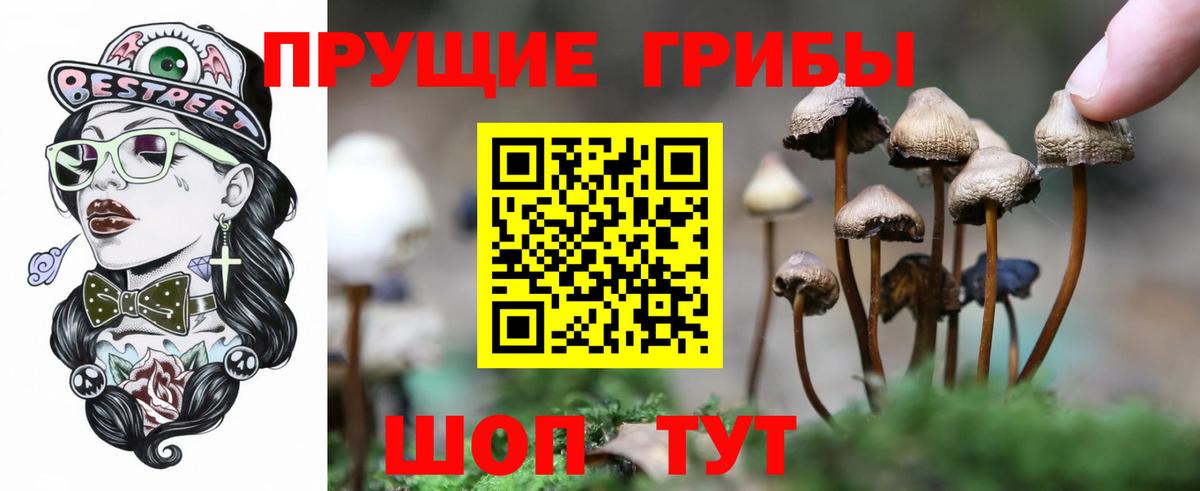 Мытищи  Псилоцибиновые грибы ЛСД  Вход с VPN 